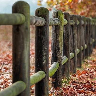 Non officiis aspernatur quam odit.